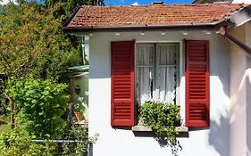 Little Garden House